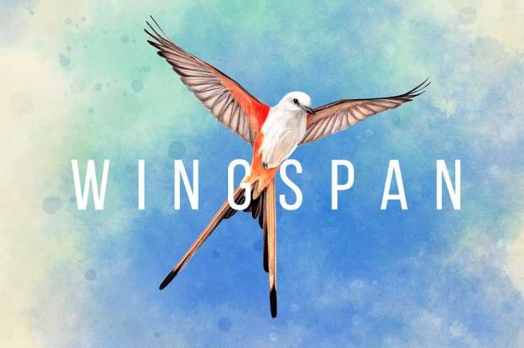 Wingbeat makes the jump to the PC. Photo credit: Monster Couch/Stonemaier Games