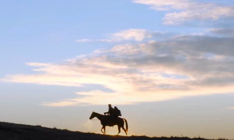 last of us serie sky