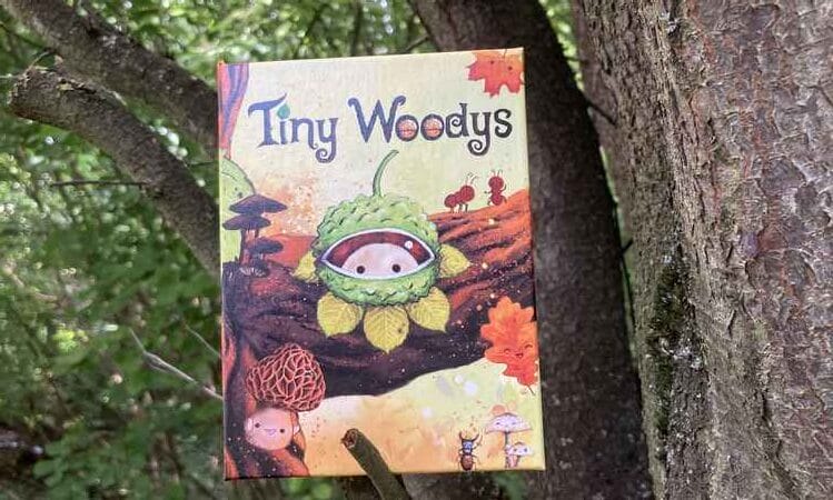 Tiny Woodys Tiny Tami Crowdfunding startnext Kartenspiel Naturgeister