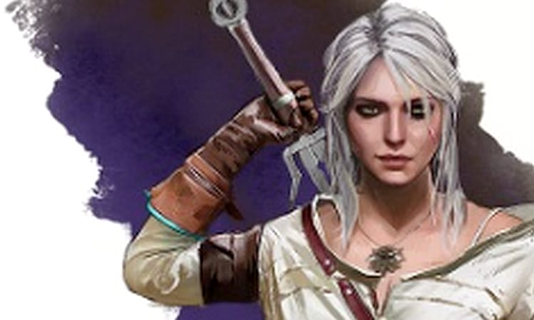 The Witcher: Path of Destiny lässt Spielende in die Rollen verschiedener Charakter aus dem Hexer-Universum schlüpfen. Bild: Go on Board
